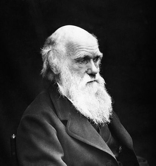 midPoint release named after Charles Robert Darwin