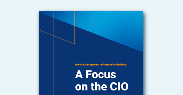 IGA in Financial Services: a Focus on the CIO