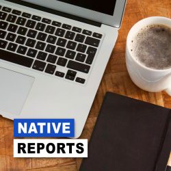 Native Reports Webinar Summary
