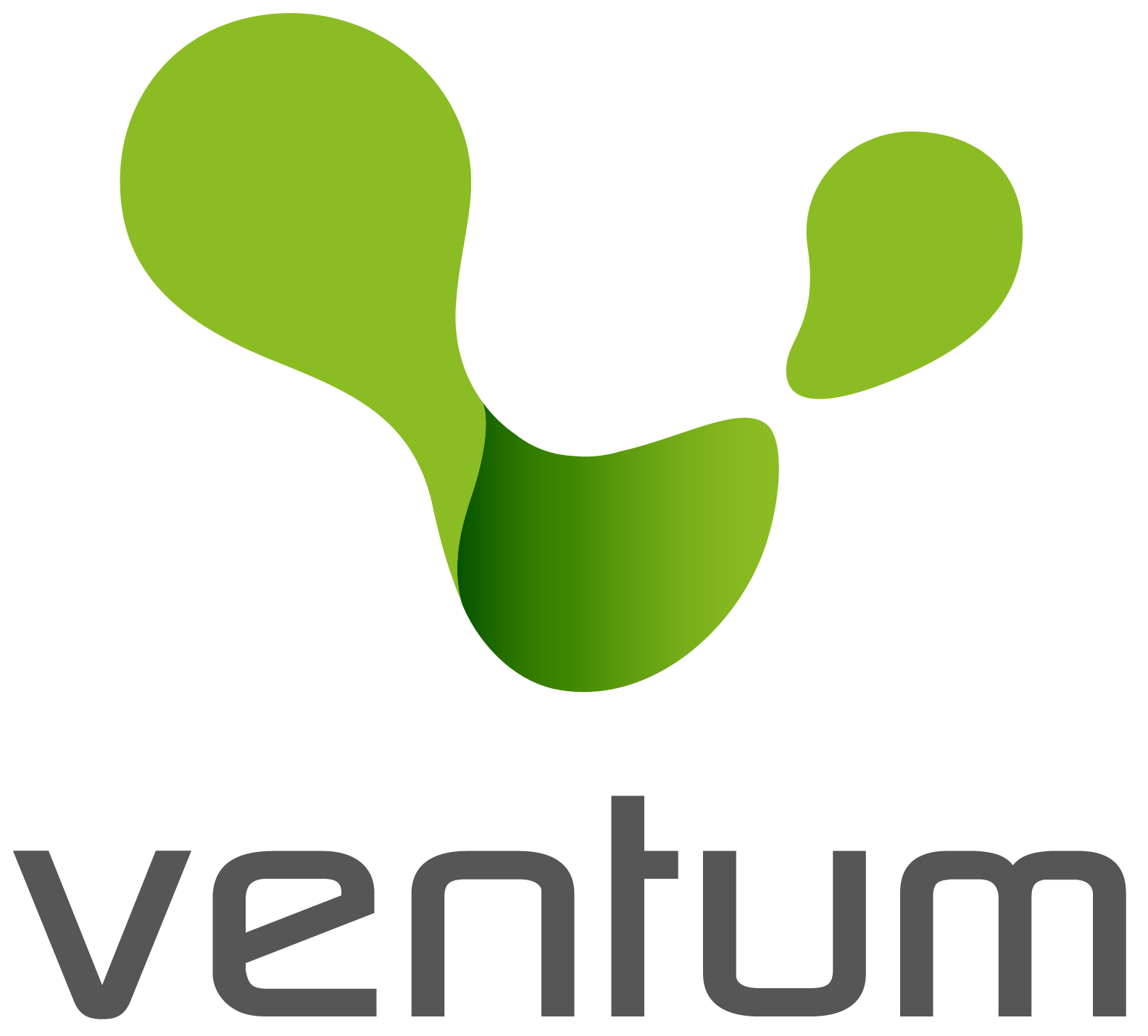 Ventum Digital Identity Services